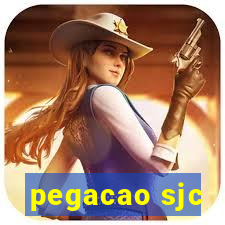 pegacao sjc